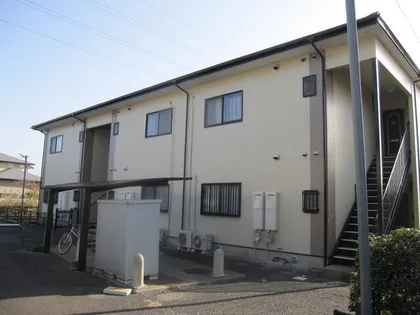 オリーブブランチの画像