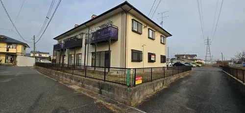 オリーブブランチの画像