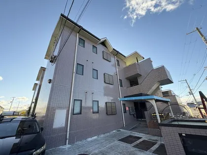 ハピネスの画像