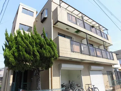 チャイナベルの画像