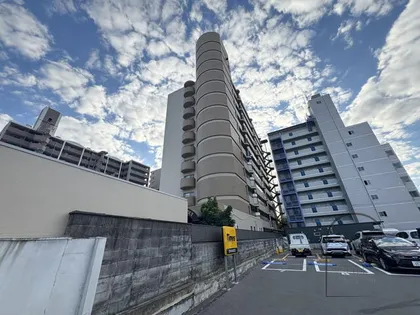 ロイヤルマツイの画像