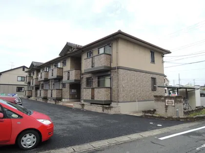 コスモスの画像