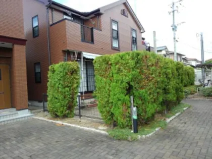 パイングローヴヒルズB【1階】の外観