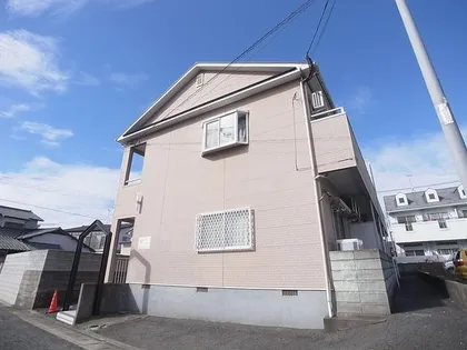 ピナクル板付の画像