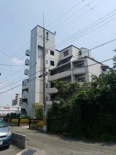 兵庫県尼崎市稲葉元町1丁目【マンション】の外観