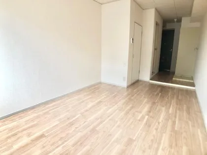 スカイパレス住吉【2階】の内装