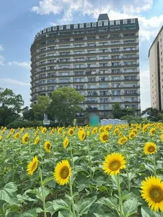 琵琶湖アーバンリゾートⅢ番館【6階】の外観