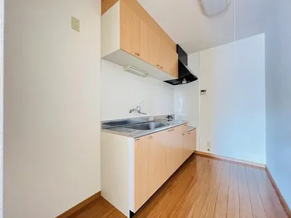 ミラコスタⅠの画像