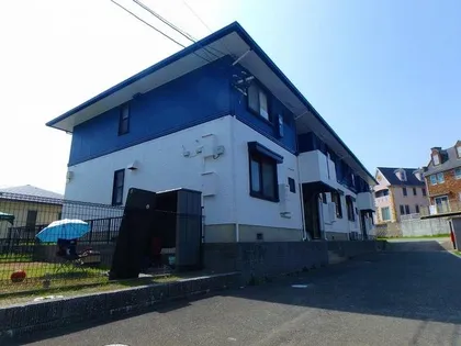 ハイカムールメイプルの画像