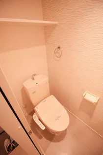 ボアビアージュ【205号室】の内装