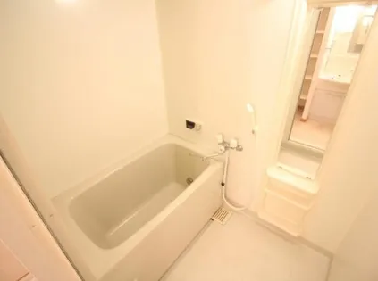 アンバーサルM【201号室】の風呂