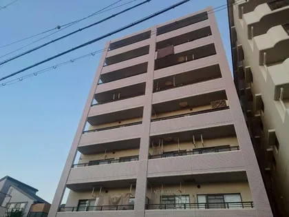 エタプハコネの画像