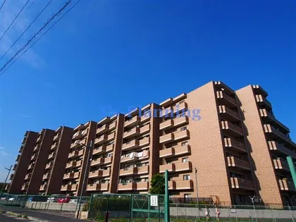 フレックス戸ノ内【7階】の外観