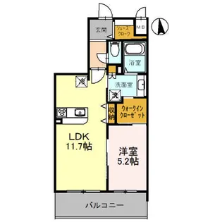 アスターの画像