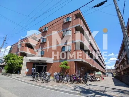 フリーダム中村の画像