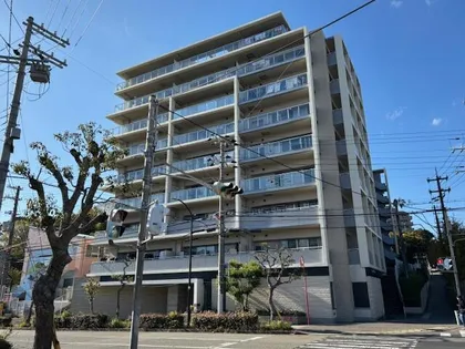 ネバーランド朝霧の画像