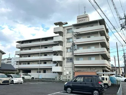 シャイニーカジモトの画像