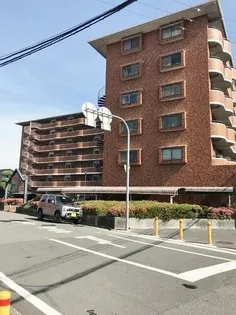 ピュアネスDOIの画像