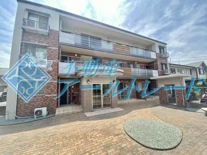 コア コイヌールの画像