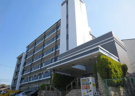 ディック ベルの画像