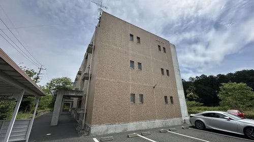 アレグリアの画像