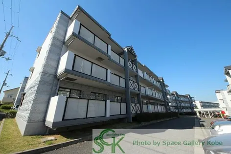 井吹東シティコート【1階】の外観