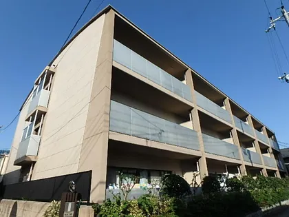 プロシードカイトの画像