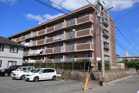 THE PASTORAL SOUTH WINGの画像