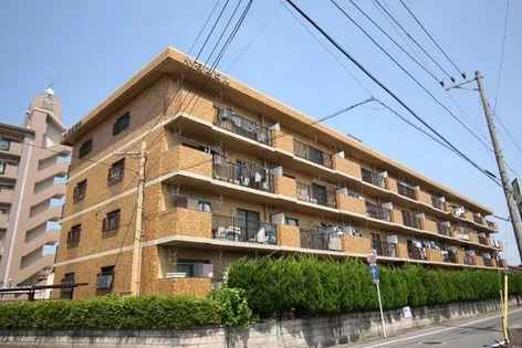 小石原ビルの画像