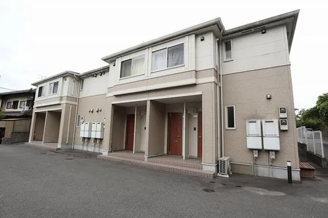 サクラーレの画像