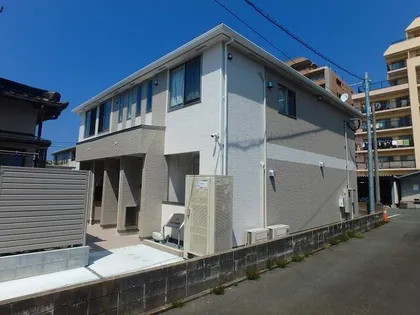 グレイス花見の画像