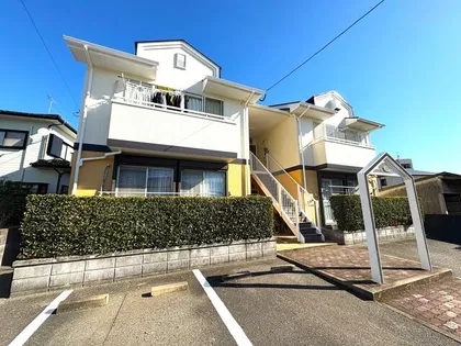 アクティブ千鳥の画像