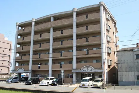 アム フルッスの画像