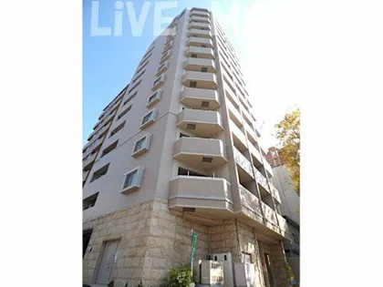 サヴォイエイペックス【9階】の外観