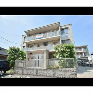 サザンクロスの画像