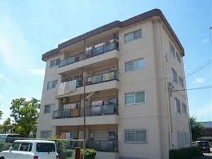 ヴィレーラの画像