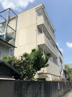 スチューデントハイツネムの画像