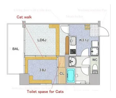 Felis塚本【3階】の間取り