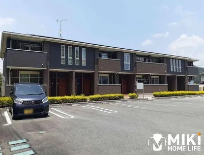 ステラテレーノの画像