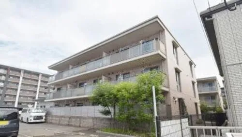 プルメリアの画像