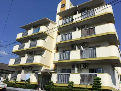 FLAT5 池主の画像