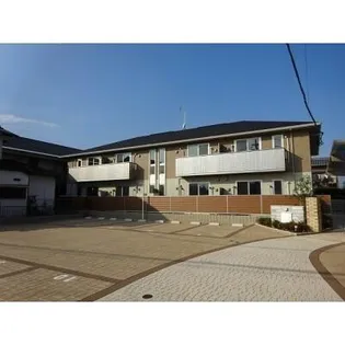 花みずきの画像