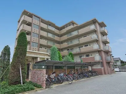 メルヴェーユの画像