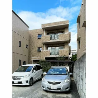 ジニアス皐月の画像