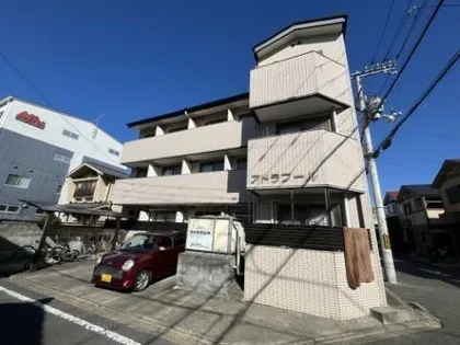 アドラブールの画像