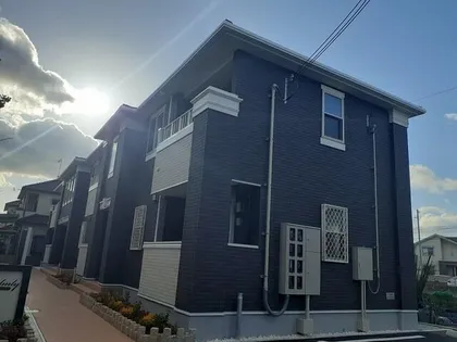 カームリーの画像