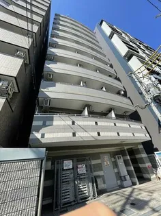 アイマール国香の画像