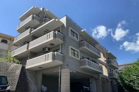 コスモ野間大池の画像