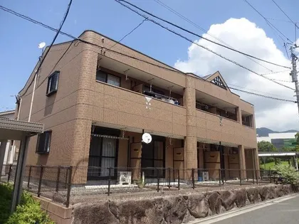 サンライズノアの画像