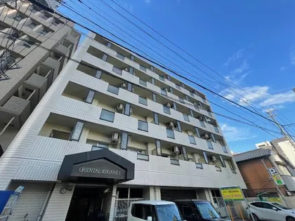 オリエンタル黄金の画像